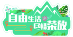 手举牌