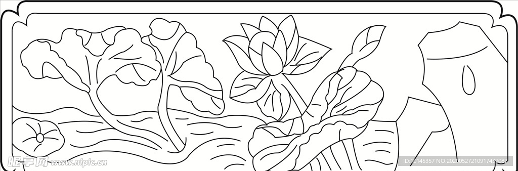 荷花