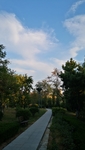 校园小路