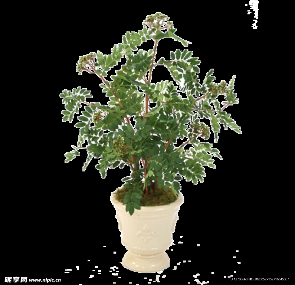 免抠背景花草树木