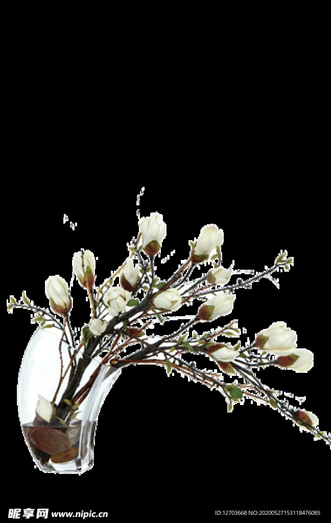 免抠背景花草树木