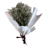 免抠背景干花枯花