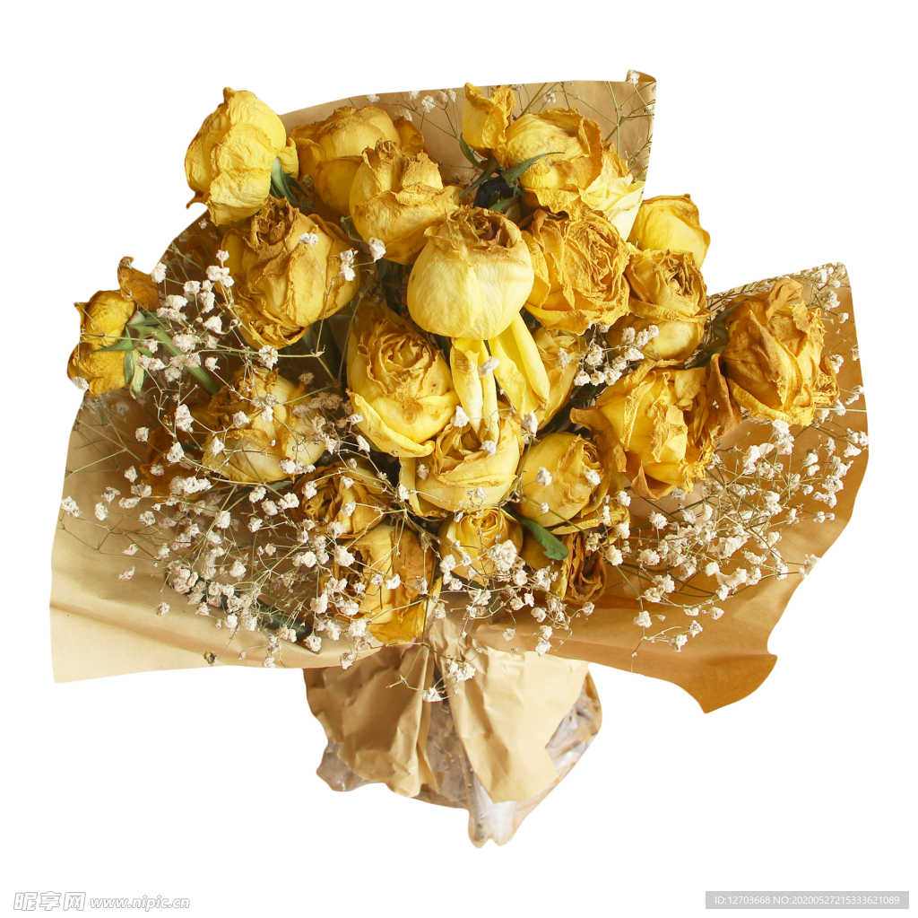 免抠背景干花枯花