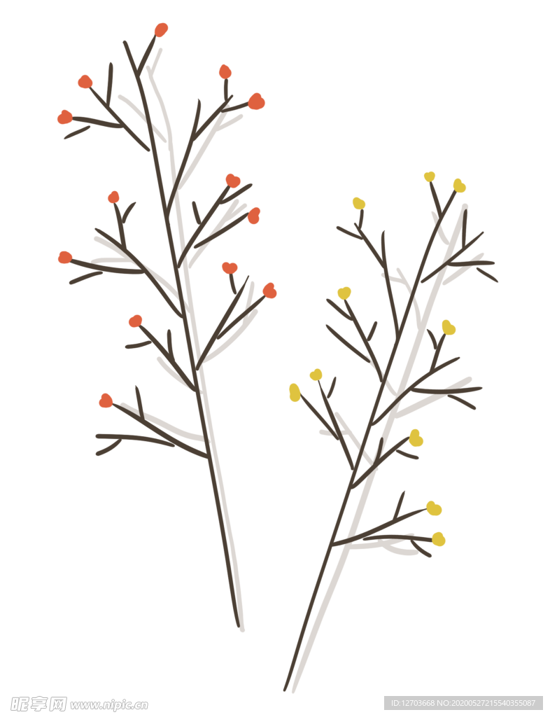 免抠背景干花枯花