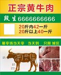 黄牛肉名片