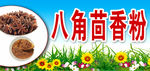 八角茴香