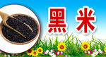 黑米