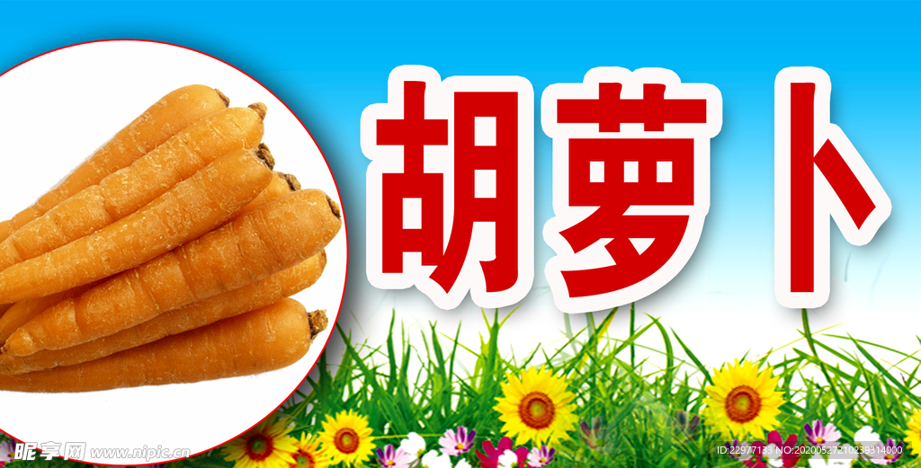 胡萝卜