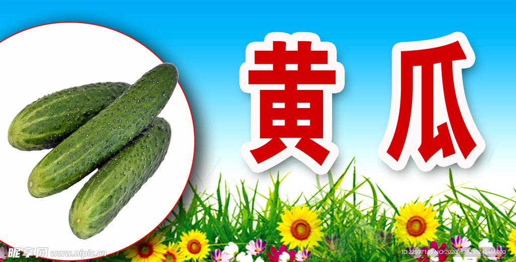 黄瓜