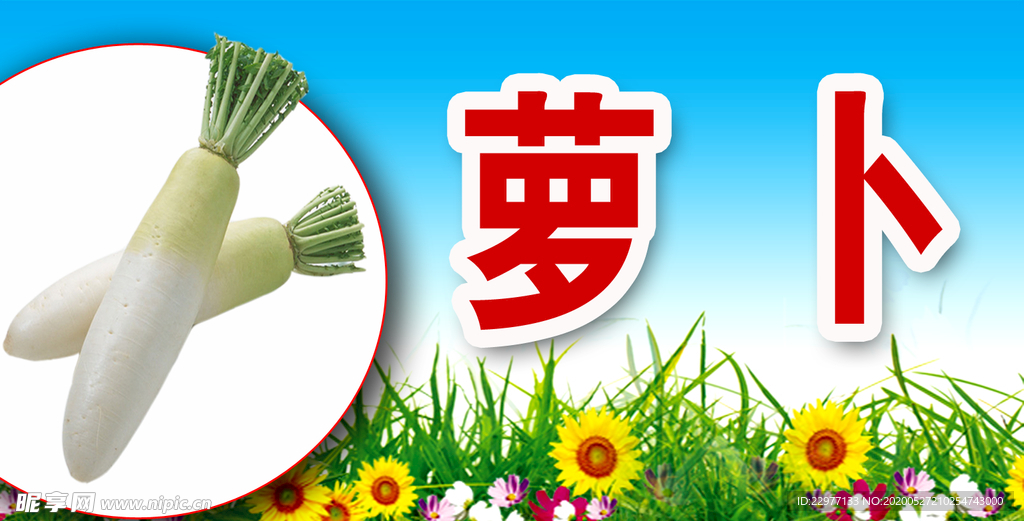 萝卜