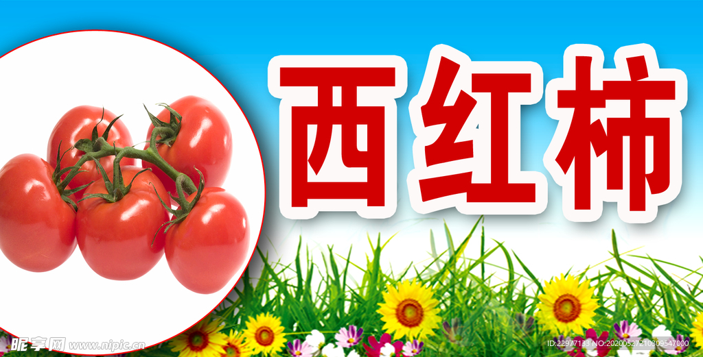 西红柿