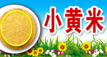 小黄米