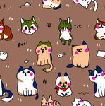 卡通手绘猫