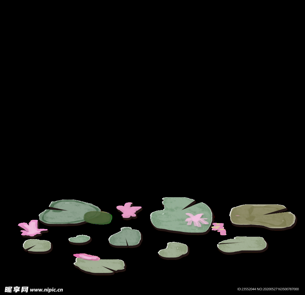 荷花荷叶