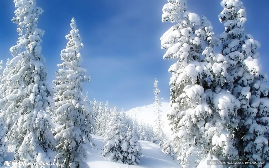 雪