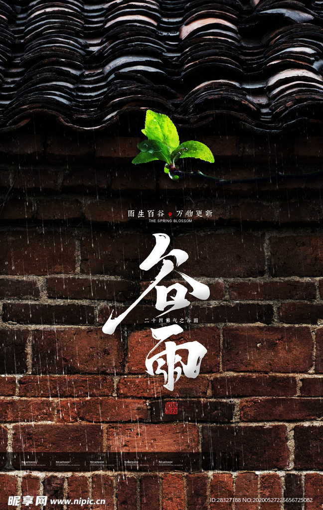 谷雨海报