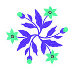 花