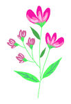 花
