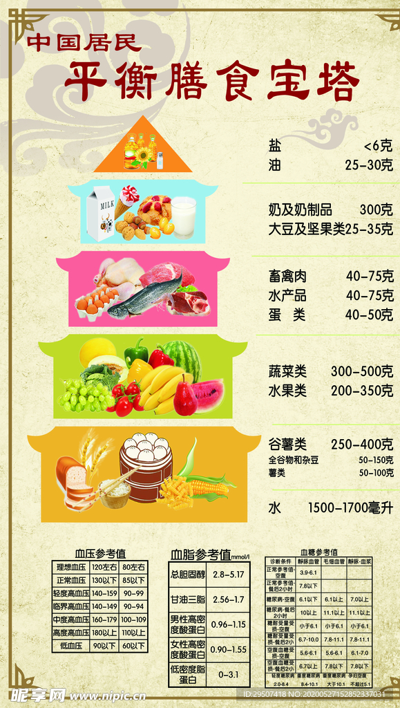 膳食 宝塔 中国 居民 营养