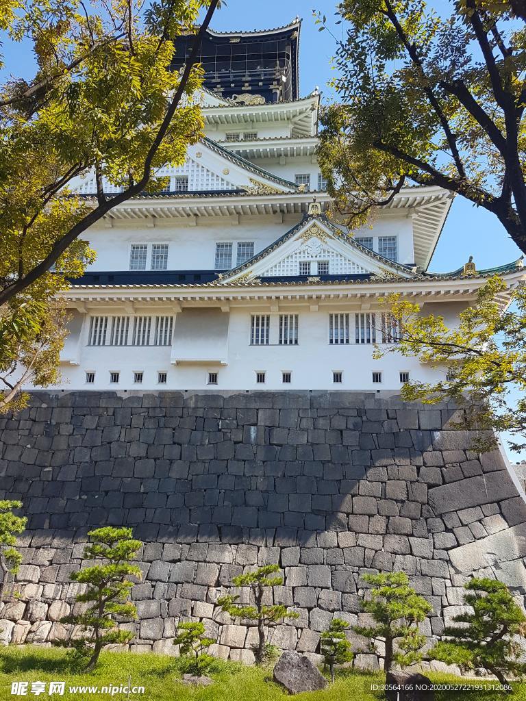 日式寺庙樱花清新背景素材