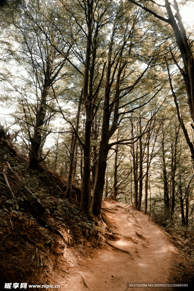 山路