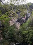 奇石青山