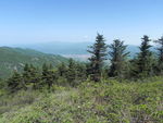 山