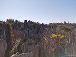 石林风景