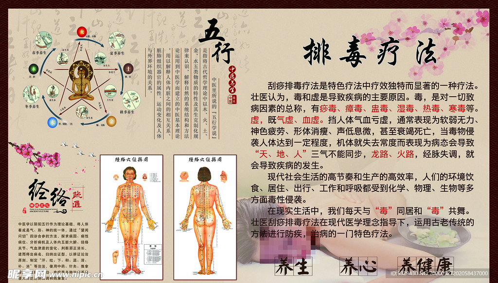 中医文化 理疗排毒疗法