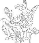 荷
