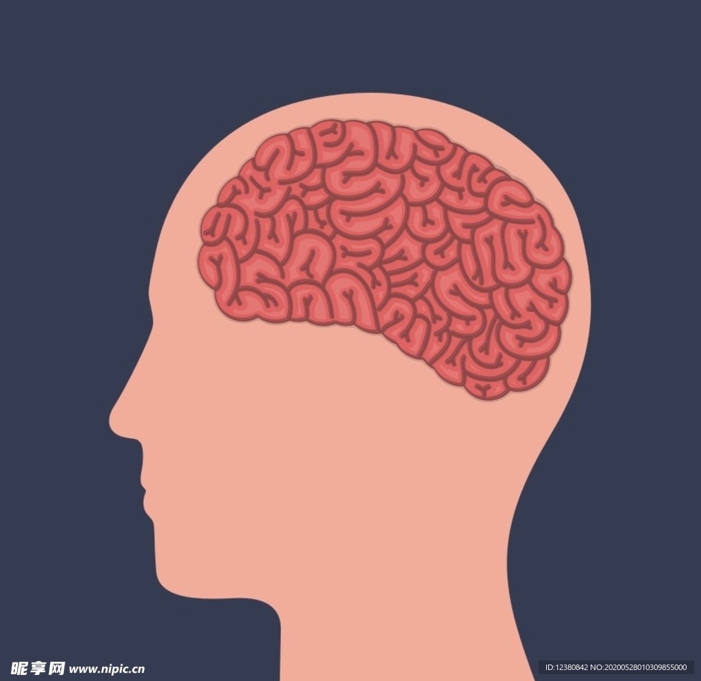大脑头脑