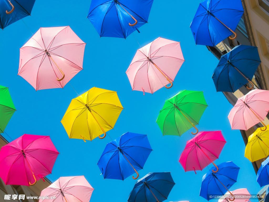 雨伞