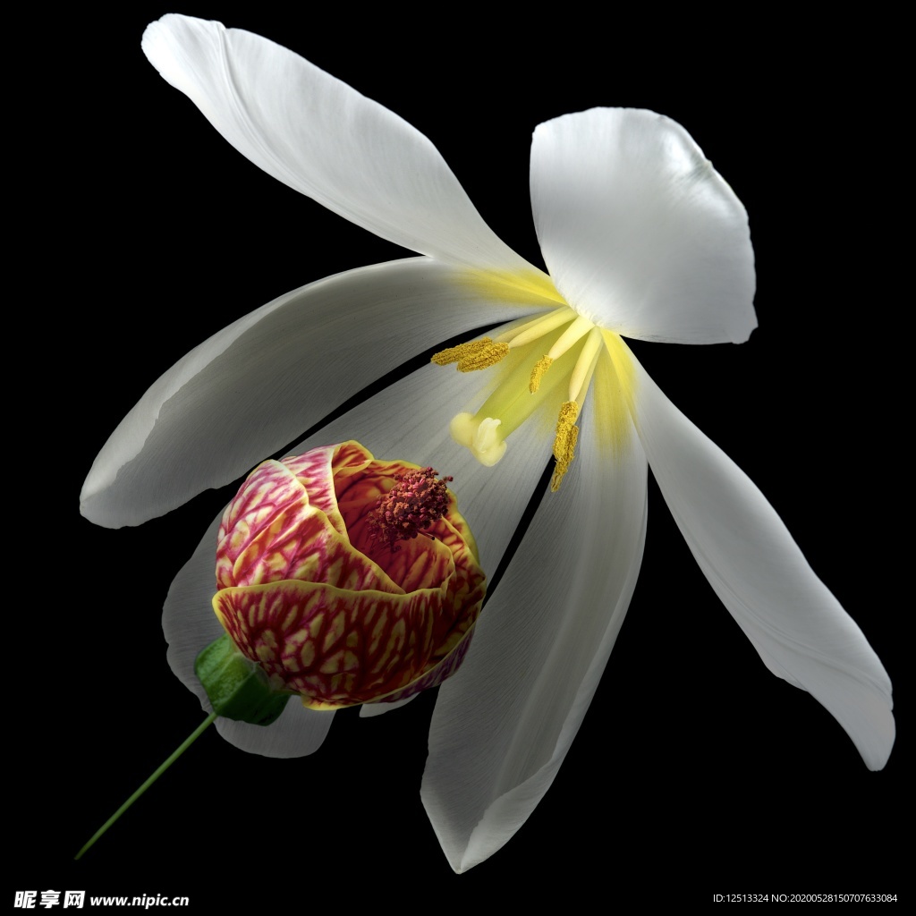花