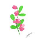 植物