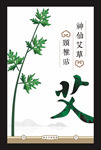 艾灸贴艾草海报