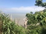 树叶草和海和天