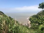 海岸线树木山天