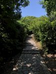 石板小路 上山
