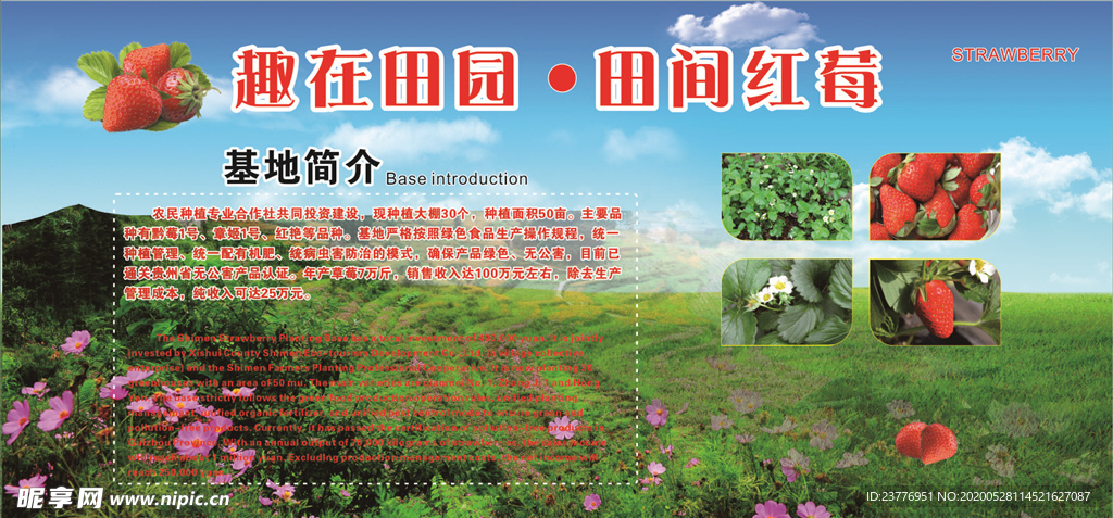 草莓基地展板