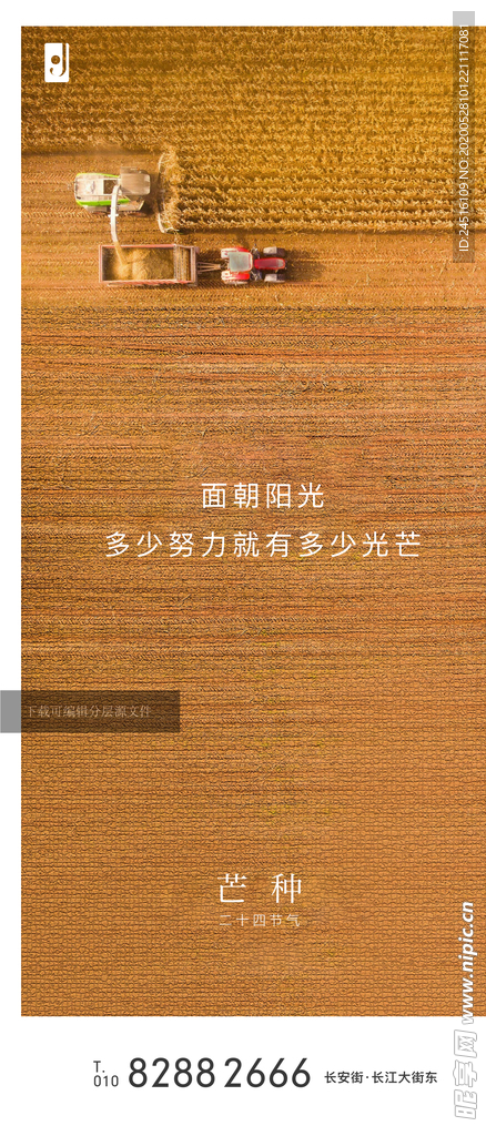 芒种