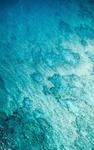 水波纹