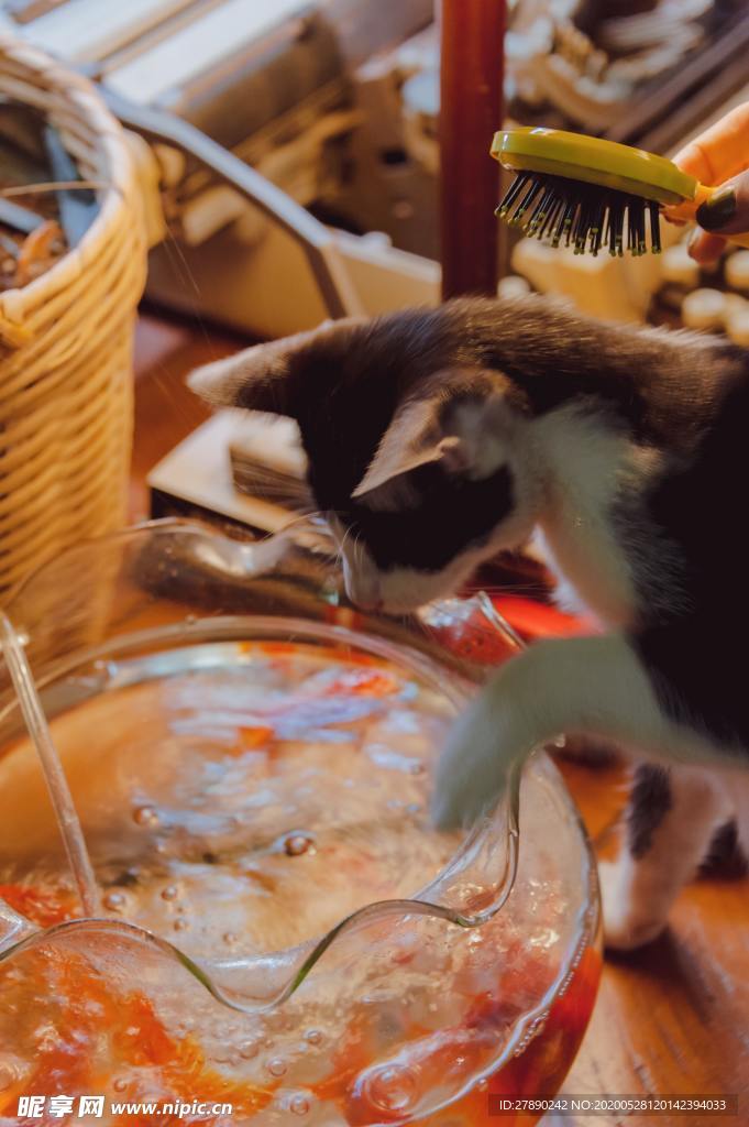 酒水