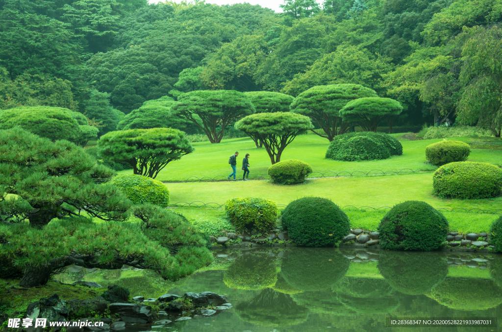 草坪