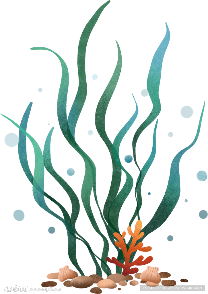 水草
