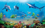 海底世界