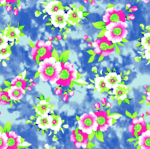 玫瑰花