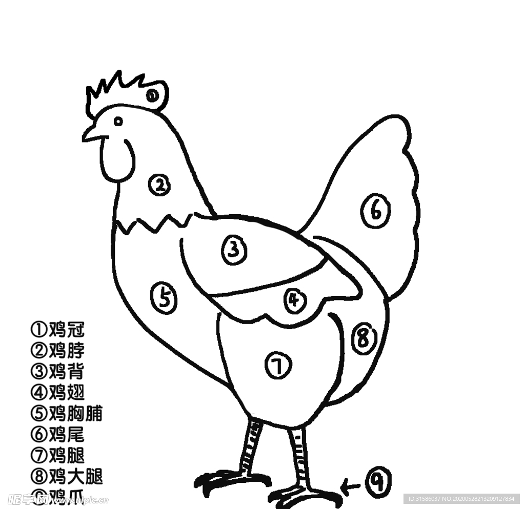 正面的母鸡简笔画画法图片步骤（不会画画可以学室内设计吗） - 有点网 - 好手艺