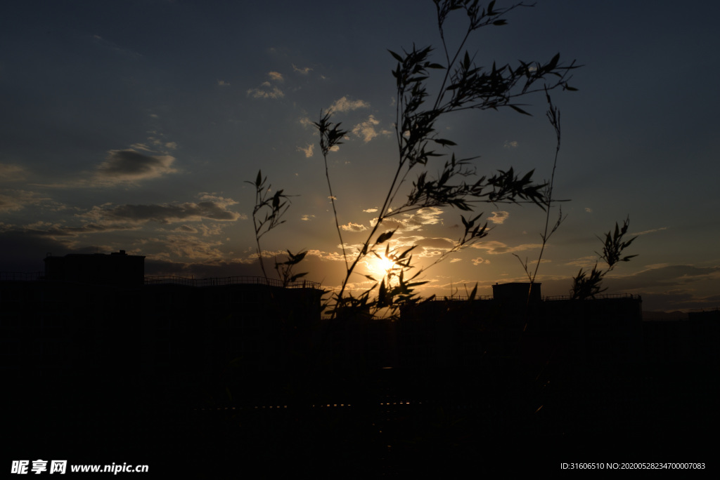 夕阳剪影