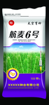 小麦种子