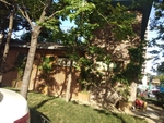 绿树 小屋